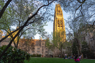Trees in foreground of Harkness Tower